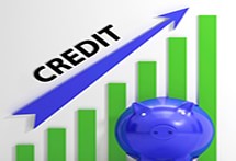 shapemycredit cpn number tradelines